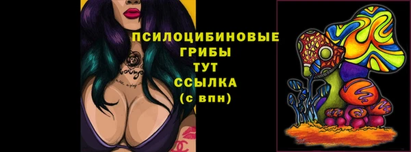 прущий лед Михайлов