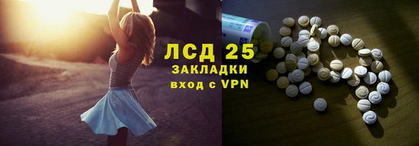 спайс Белая Холуница