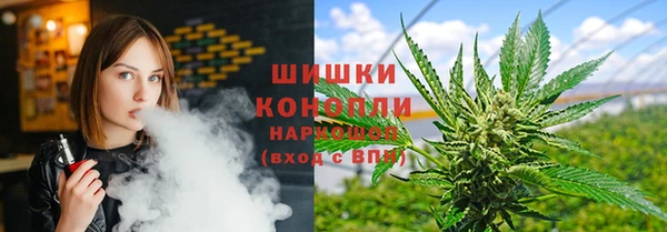 прущий лед Михайлов