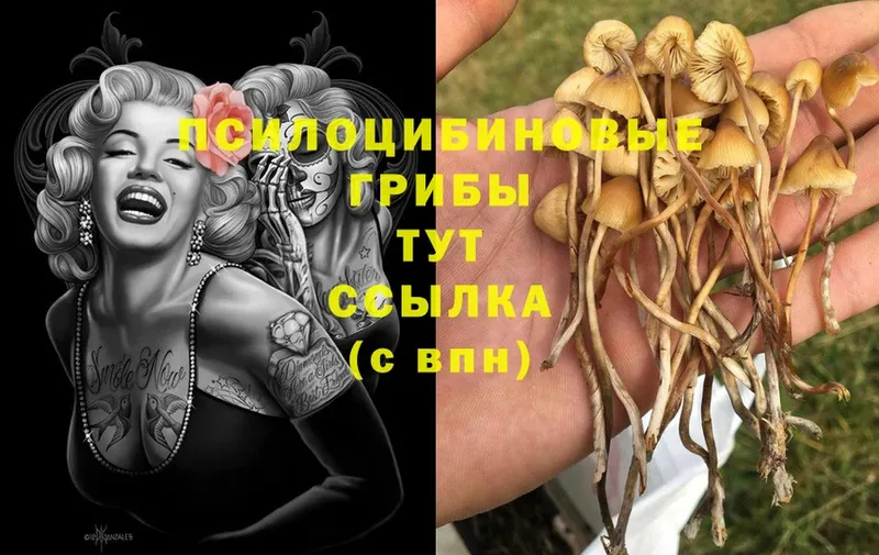 KRAKEN сайт  darknet как зайти  Лебедянь  Псилоцибиновые грибы MAGIC MUSHROOMS  цена наркотик 