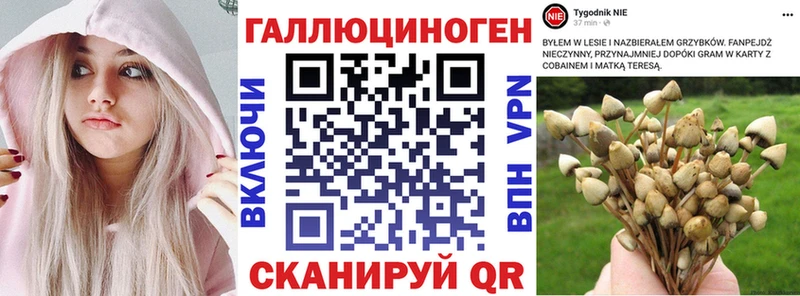 Галлюциногенные грибы прущие грибы  Лебедянь 